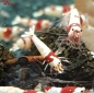 Preview: Red Bee SS - SSS